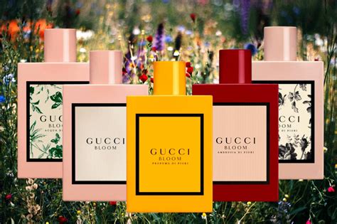 gucci bloom and blossom|Gucci Bloom release date.